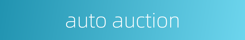 auto auction的同义词