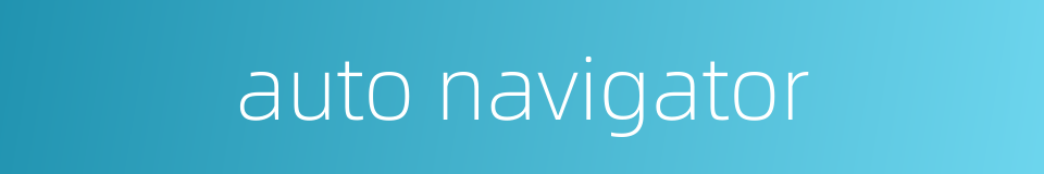auto navigator的同义词