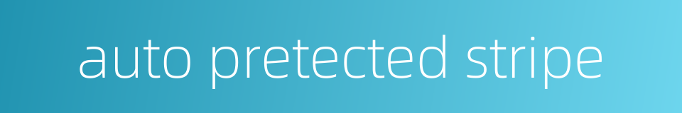 auto pretected stripe的同义词