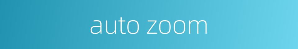 auto zoom的同义词