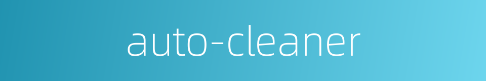 auto-cleaner的同义词