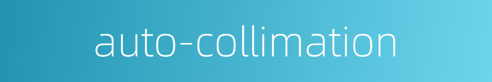 auto-collimation的同义词