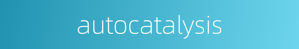 autocatalysis的同义词
