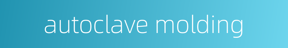 autoclave molding的同义词