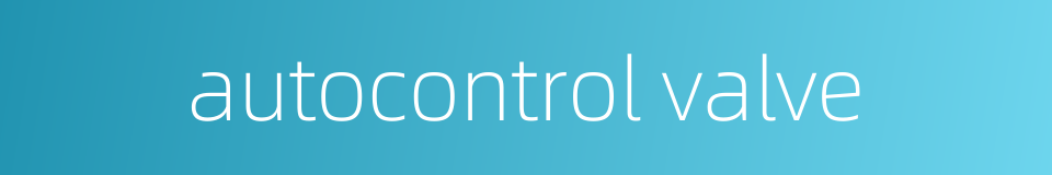 autocontrol valve的同义词