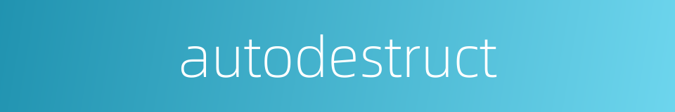 autodestruct的同义词