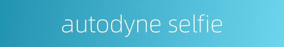 autodyne selfie的同义词