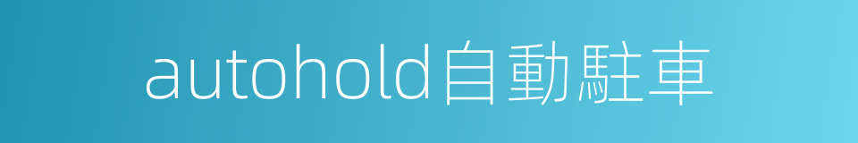 autohold自動駐車的同義詞
