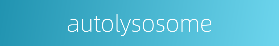autolysosome的同义词