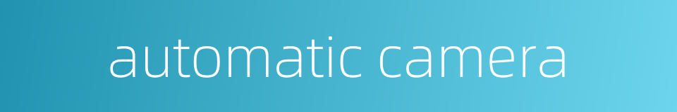 automatic camera的同义词