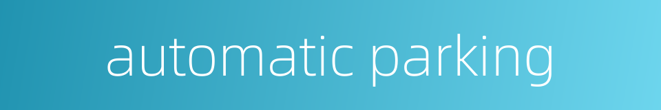 automatic parking的同义词