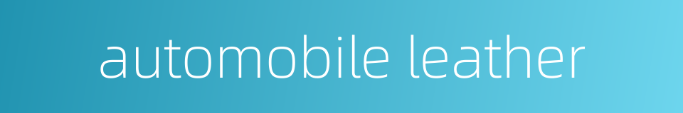 automobile leather的同义词