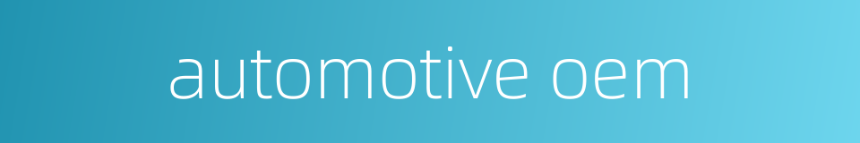 automotive oem的同义词