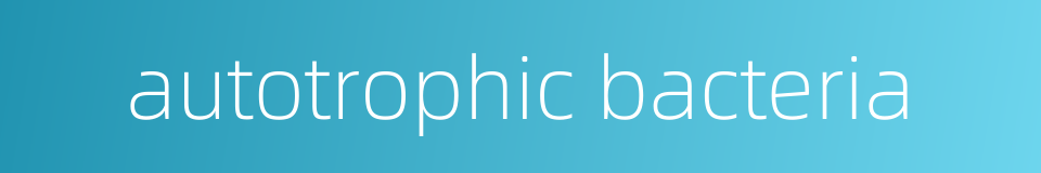 autotrophic bacteria的同义词