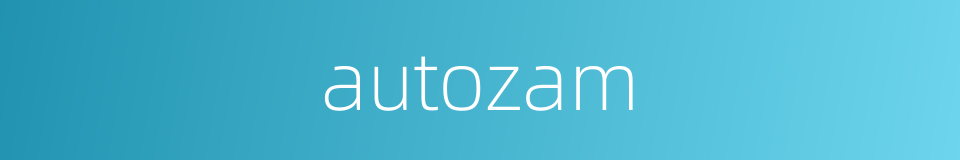 autozam的同义词