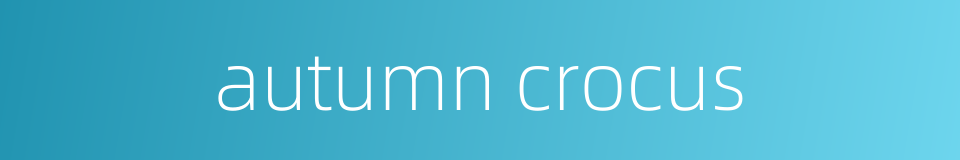 autumn crocus的同义词