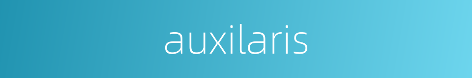 auxilaris的同义词