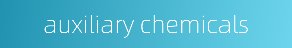 auxiliary chemicals的同义词
