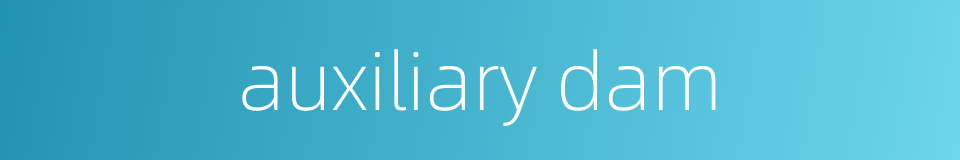 auxiliary dam的同义词