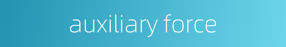 auxiliary force的同义词