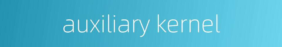 auxiliary kernel的同义词
