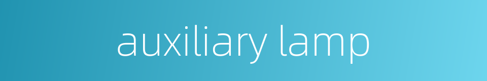 auxiliary lamp的同义词