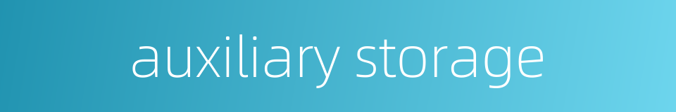 auxiliary storage的同义词