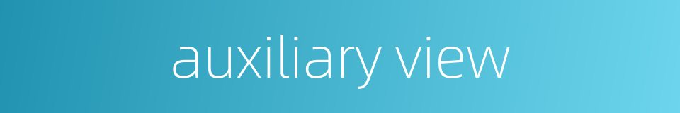 auxiliary view的同义词