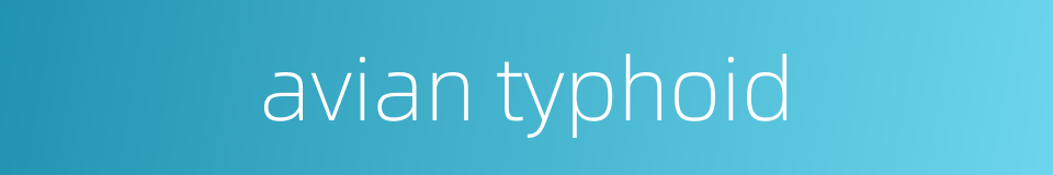 avian typhoid的同义词