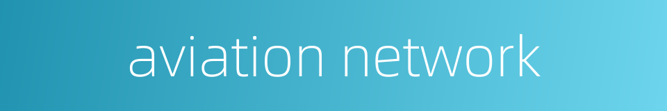 aviation network的同义词