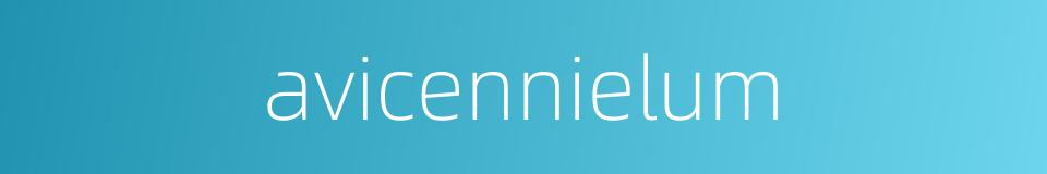 avicennielum的同义词