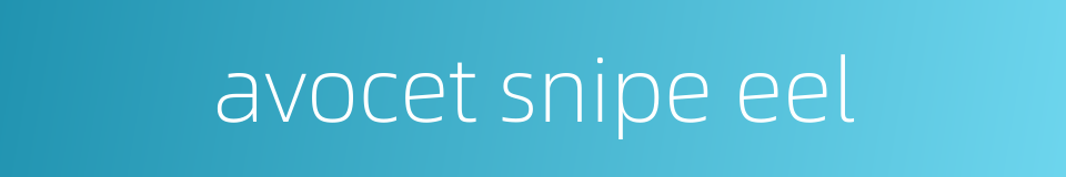 avocet snipe eel的同义词