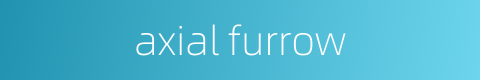 axial furrow的同义词