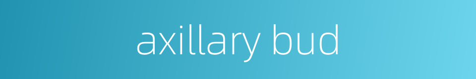 axillary bud的同义词