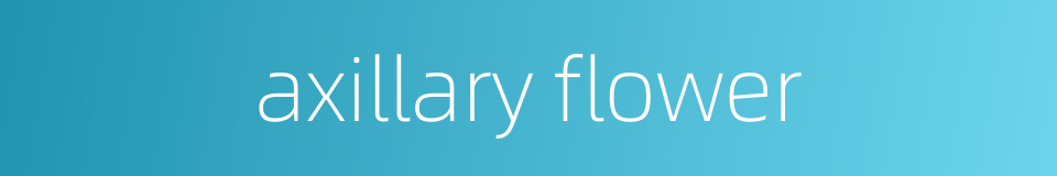axillary flower的同义词