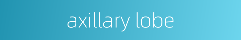 axillary lobe的同义词