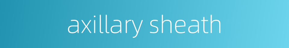 axillary sheath的同义词
