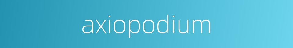 axiopodium的同义词