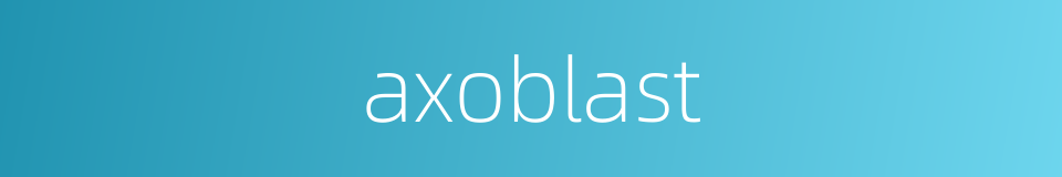 axoblast的同义词