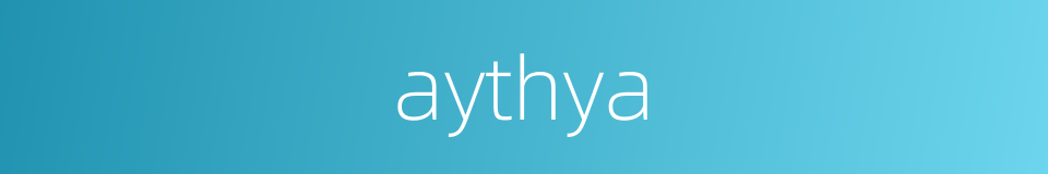 aythya的同义词
