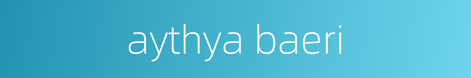 aythya baeri的同义词