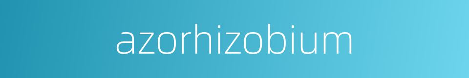 azorhizobium的同义词