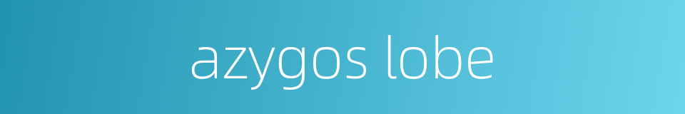 azygos lobe的同义词