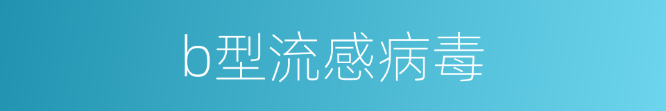 b型流感病毒的同义词