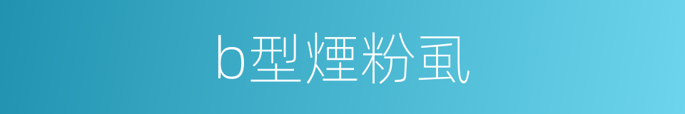 b型煙粉虱的同義詞