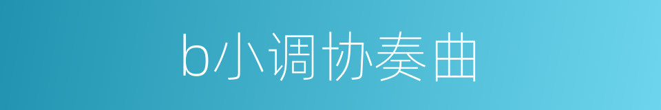b小调协奏曲的同义词