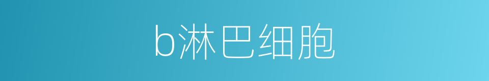 b淋巴细胞的同义词