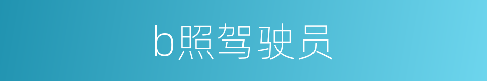 b照驾驶员的同义词