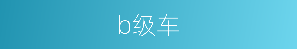 b级车的同义词
