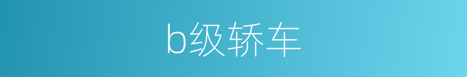 b级轿车的同义词